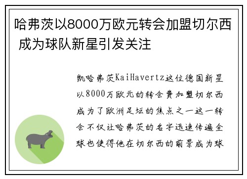 哈弗茨以8000万欧元转会加盟切尔西 成为球队新星引发关注 哈弗茨以8000万欧元转会加盟切尔西 成为球队新星引发关注
